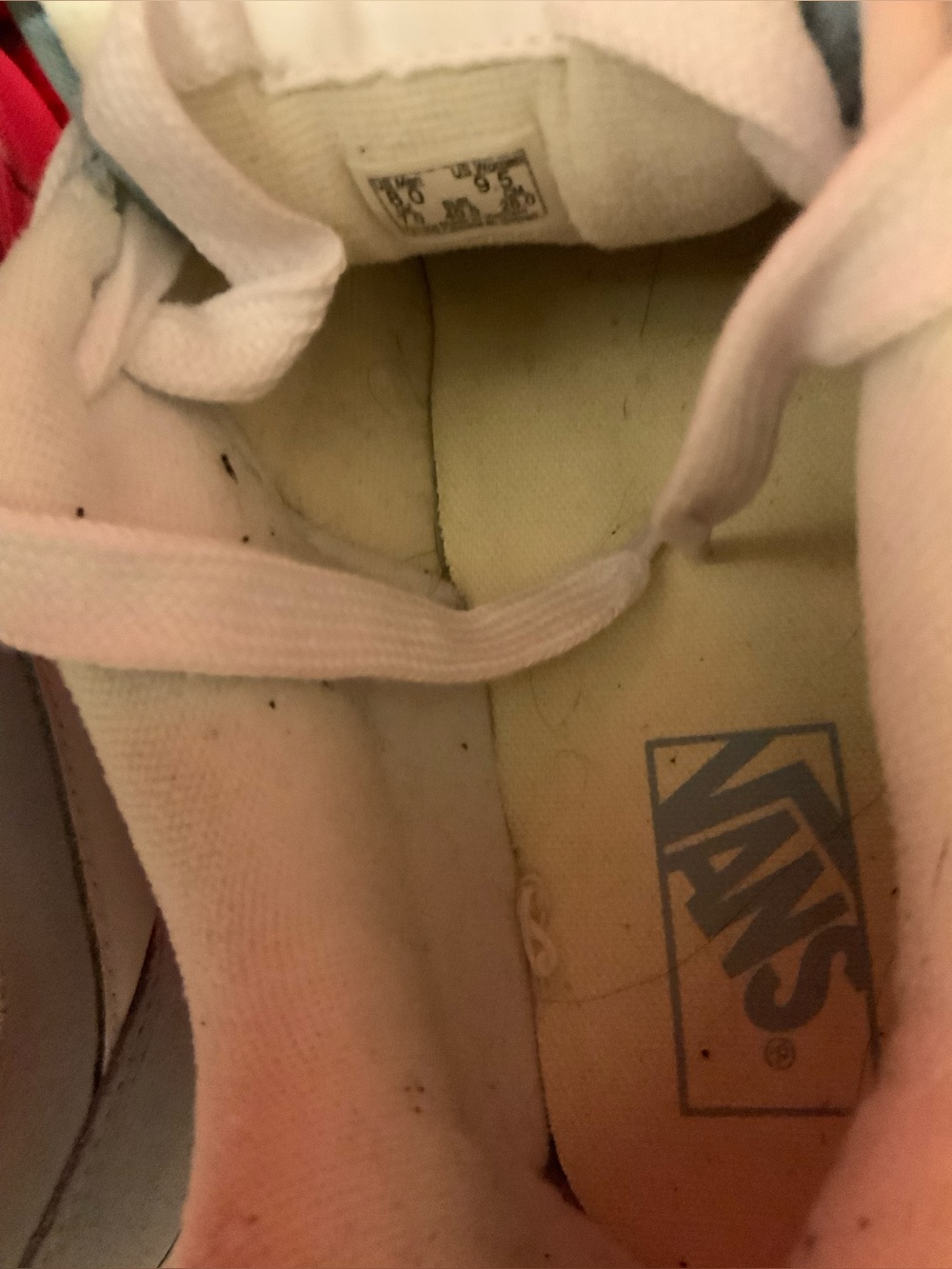 VANS - Picture 10 of 14